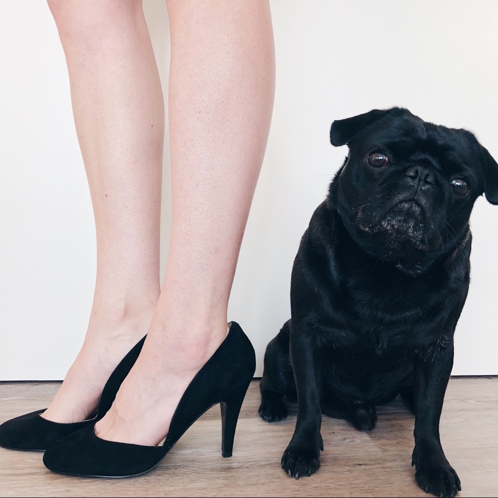 🆕 Black Suede Heel, 9.5